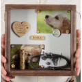 Pet shadow box